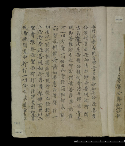相关推荐,查看大般若波羅蜜多經卷第三百九十五