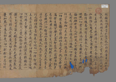 相关推荐,查看金光明最胜王经卷第三