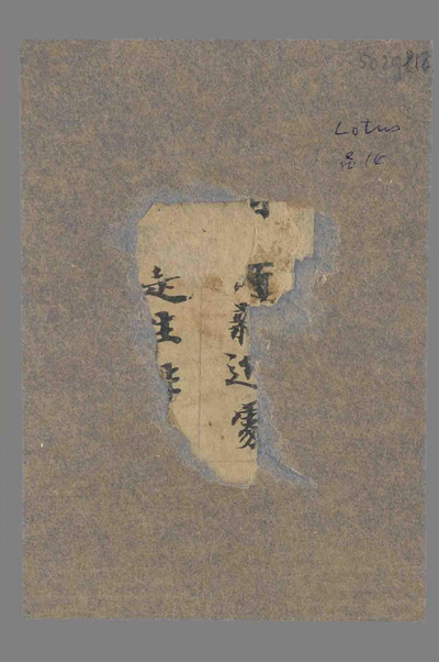 相关推荐,查看P.5029L18