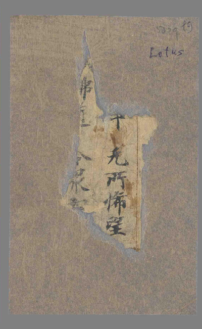 相关推荐,查看P.5029L9