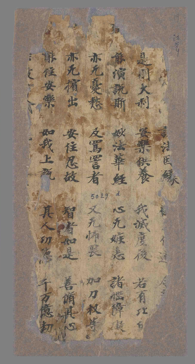 相关推荐,查看P.5029D19
