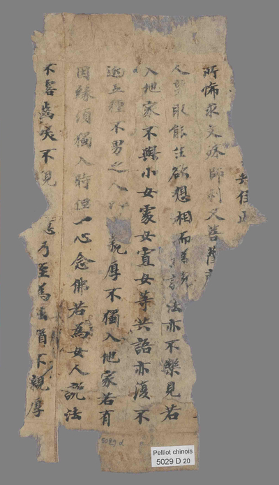 相关推荐,查看P.5029D20