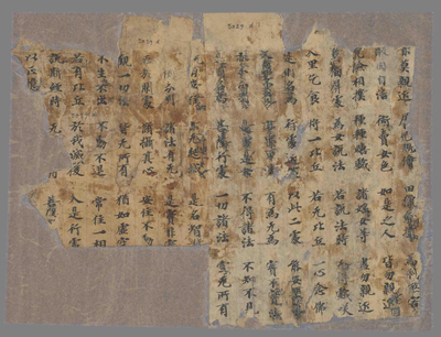 相关推荐,查看P.5029D21