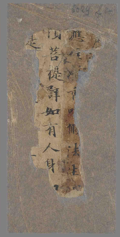 相关推荐,查看P.5029F17