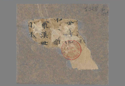 相关推荐,查看P.5029F19.1