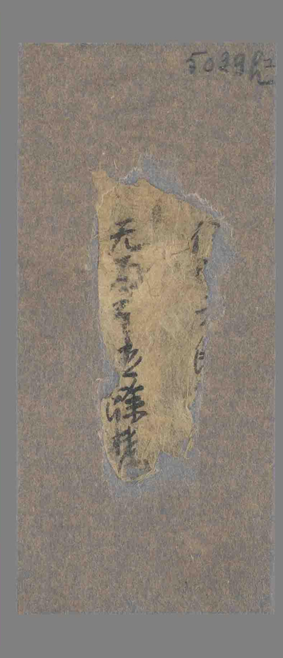 相关推荐,查看P.5029H1