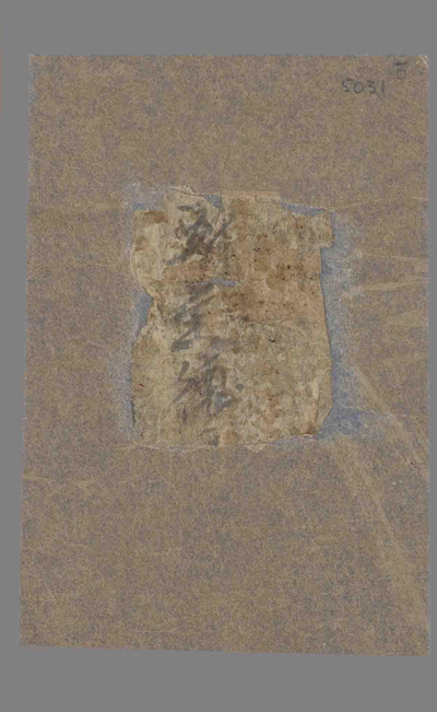 相关推荐,查看P.5031.5