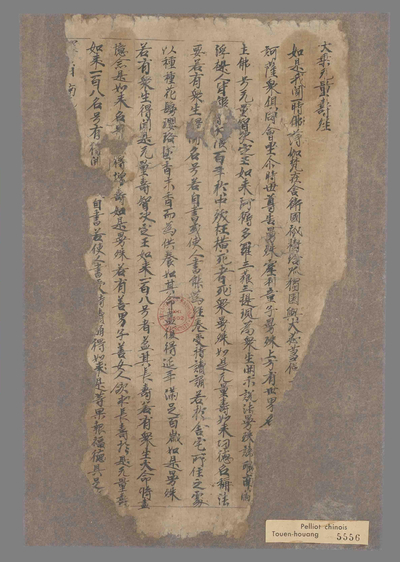 相关推荐,查看大乘无量寿经