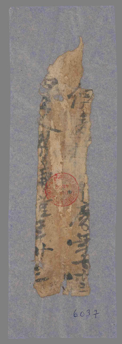 相关推荐,查看残片