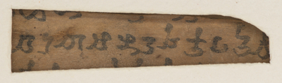 相关推荐,查看P.kout.Bois C