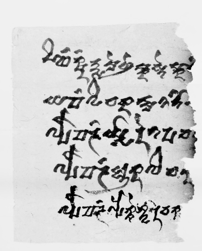 相关推荐,查看P.kout.DA.M.507.12