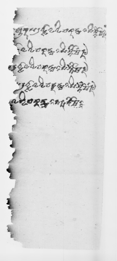 相关推荐,查看P.kout.DA.M.507.13