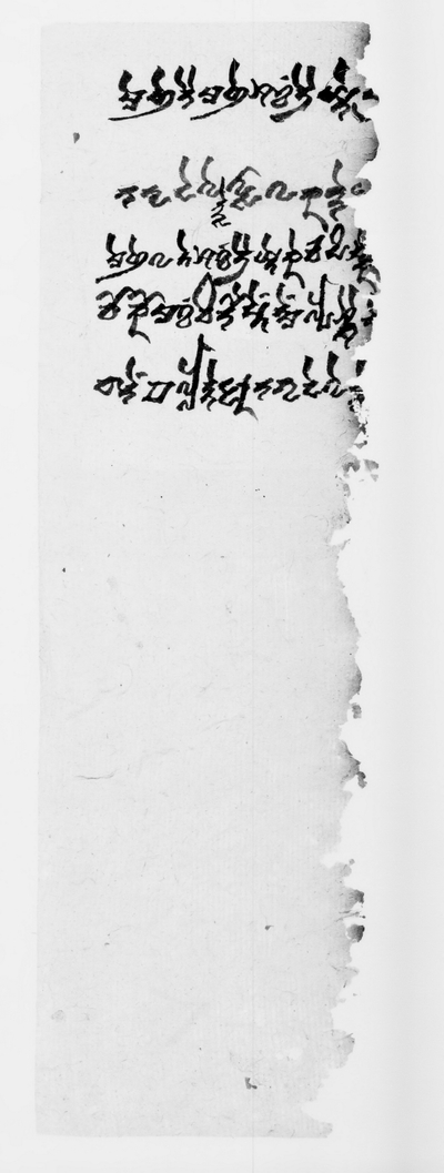 相关推荐,查看P.kout.DA.M.507.16