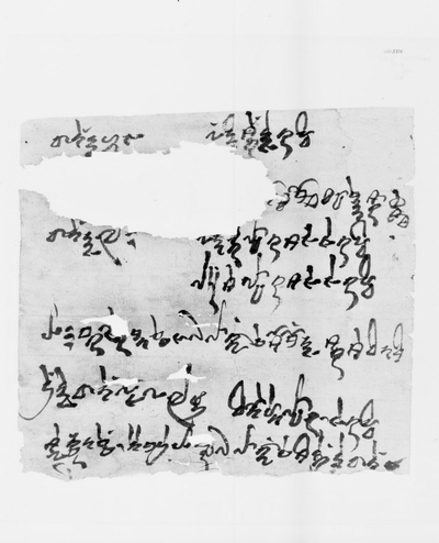 相关推荐,查看P.kout.DA.M.507.24
