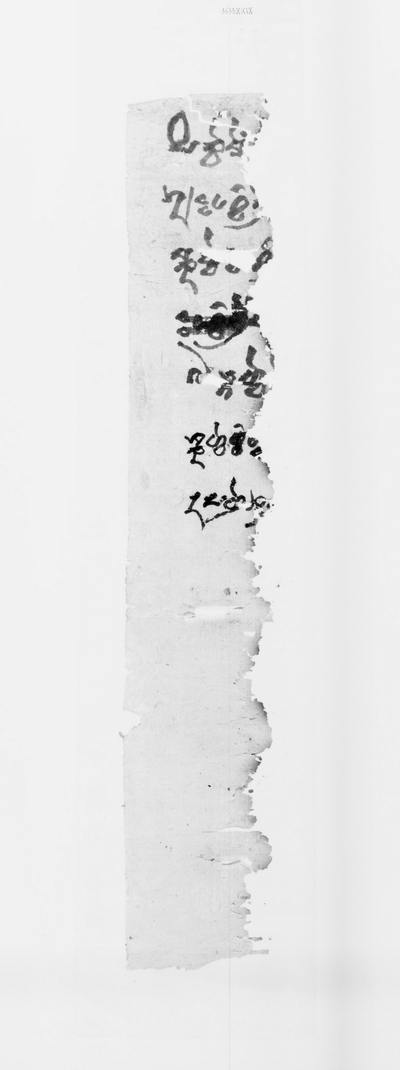 相关推荐,查看P.kout.DA.M.507.29