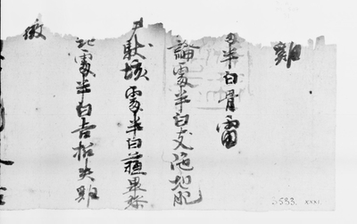 相关推荐,查看P.kout.DA.M.507.31