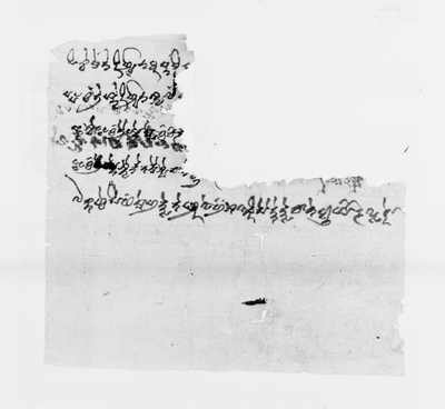 相关推荐,查看P.kout.DA.M.507.5