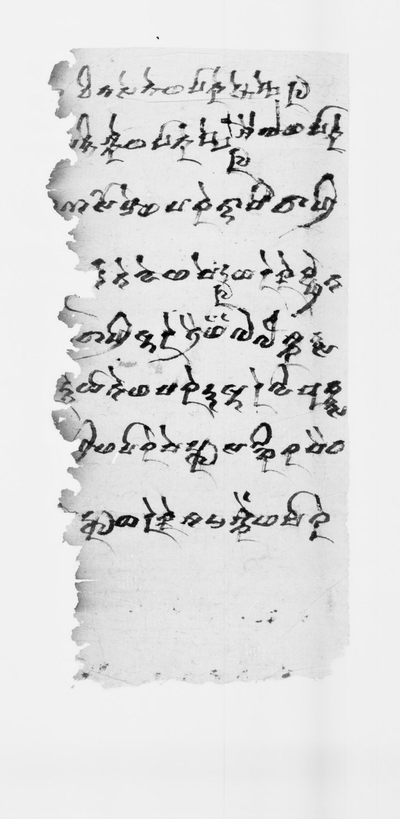 相关推荐,查看P.kout.DA.M.507.6
