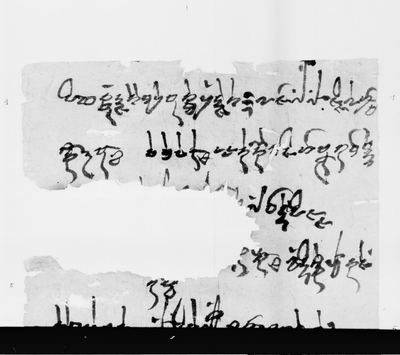 相关推荐,查看P.kout.DA.M.507.7